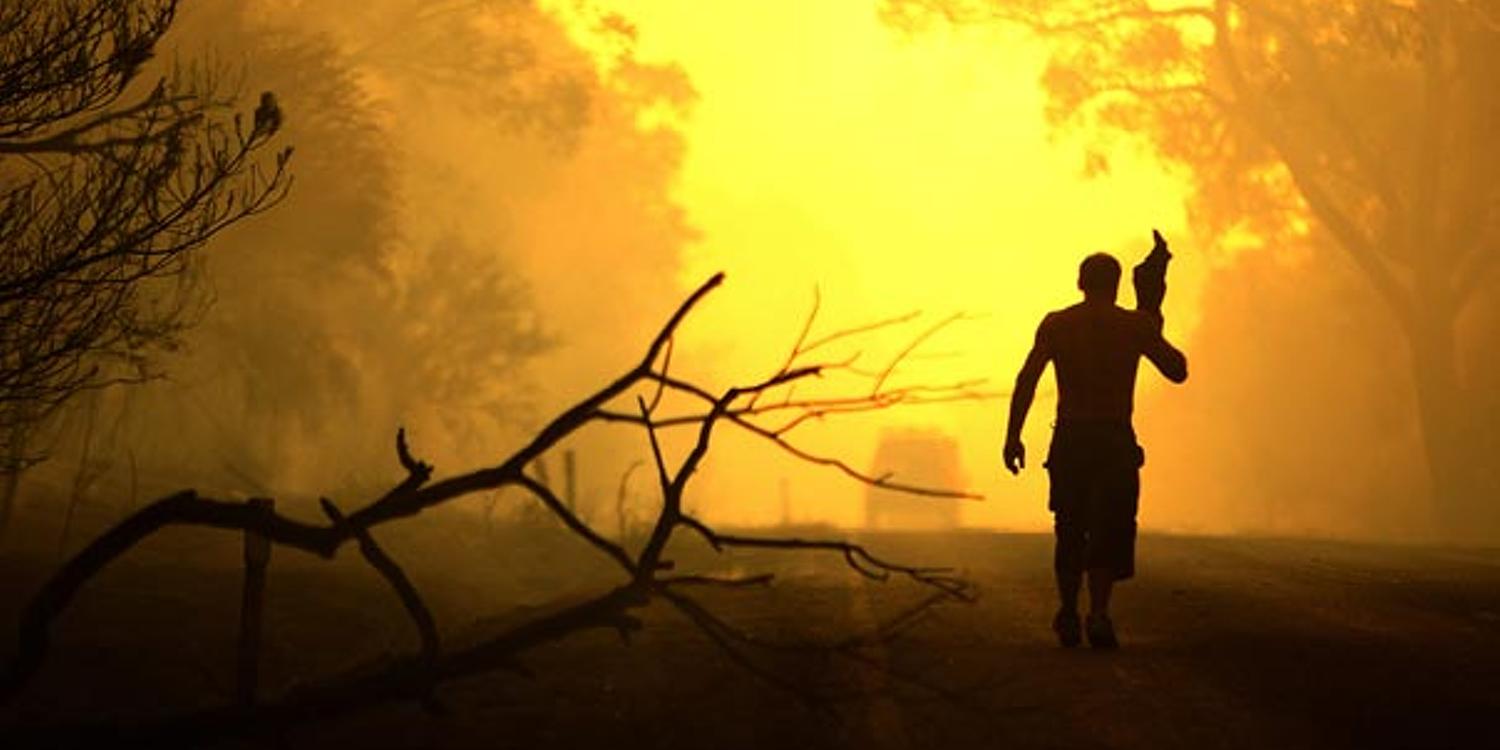 Waldbrände außer Kontrolle (Foto: itv-news)